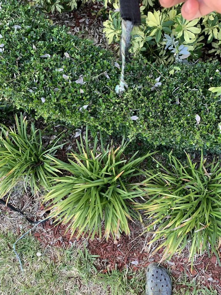Reliable outdoor landscaping for year-round maintenance across Miami, FL - Luis Hernandez Landscaping