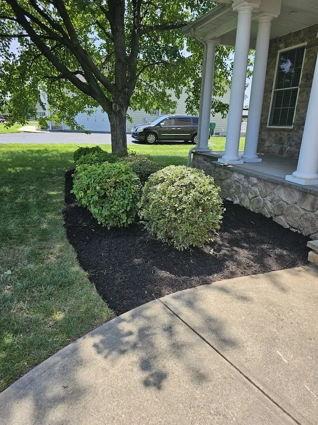 Affordable landscape installation in Marydel, MD - Luis Jacobo Landscaping & Tree Removal