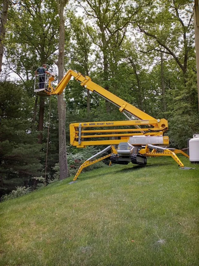 Expert residential landscaping in Marydel, MD - Luis Jacobo Landscaping & Tree Removal