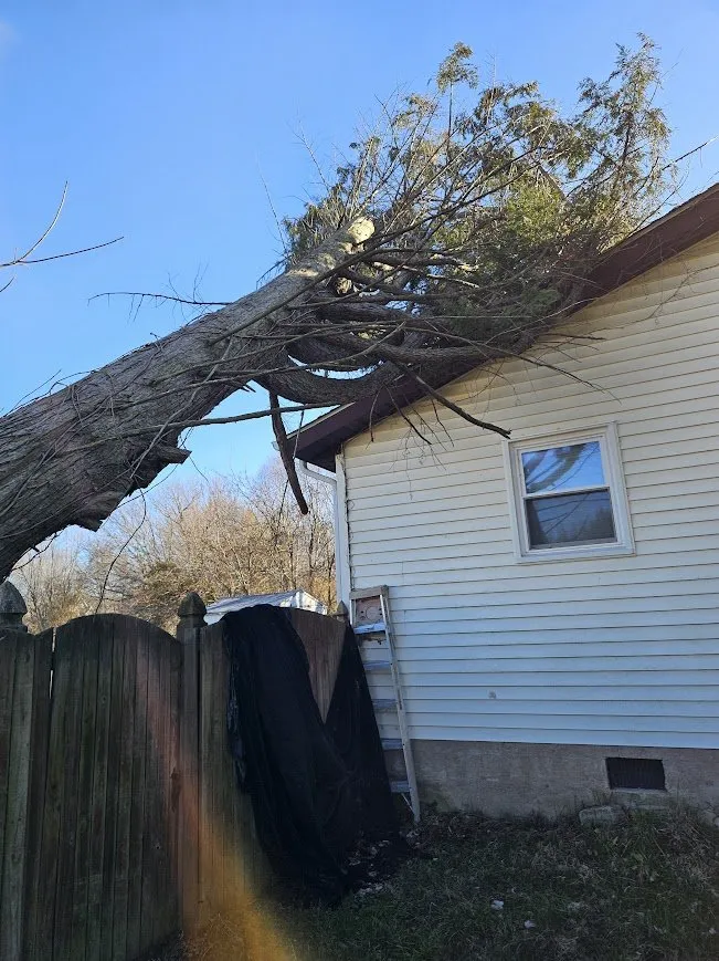 Expert garden landscaping for beautiful yards across Marydel, MD - Luis Jacobo Landscaping & Tree Removal