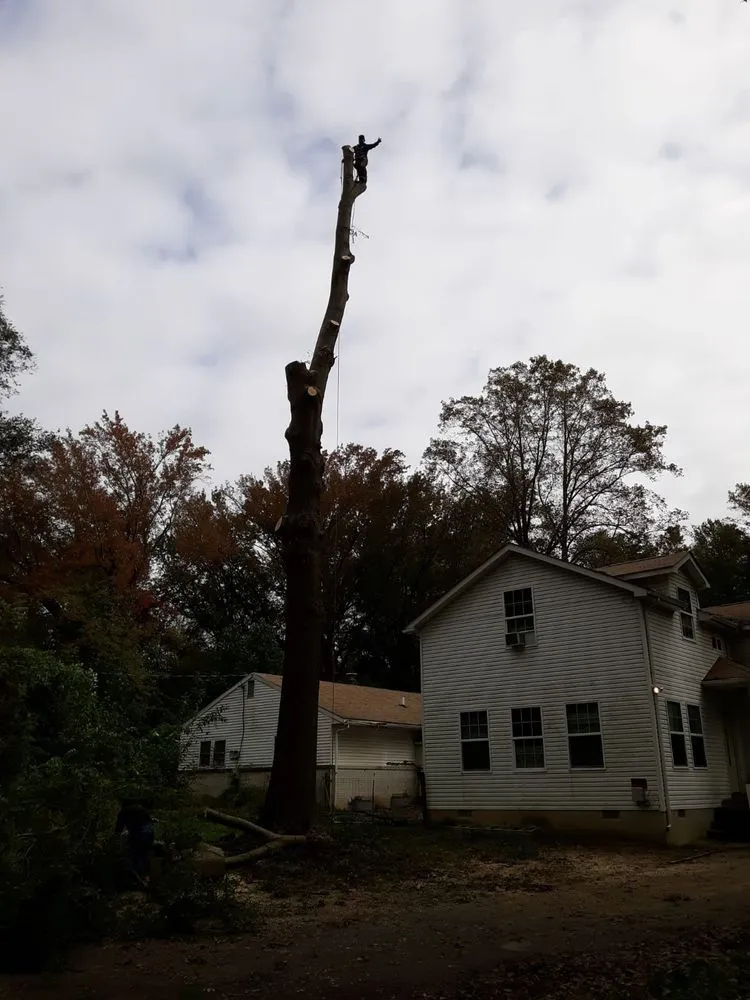 Professional garden landscaping for year-round maintenance in Marydel, MD by Luis Jacobo Landscaping & Tree Removal