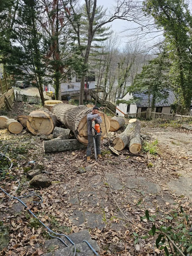 Custom landscape installation for outdoor upgrades in Marydel, MD by Luis Jacobo Landscaping & Tree Removal