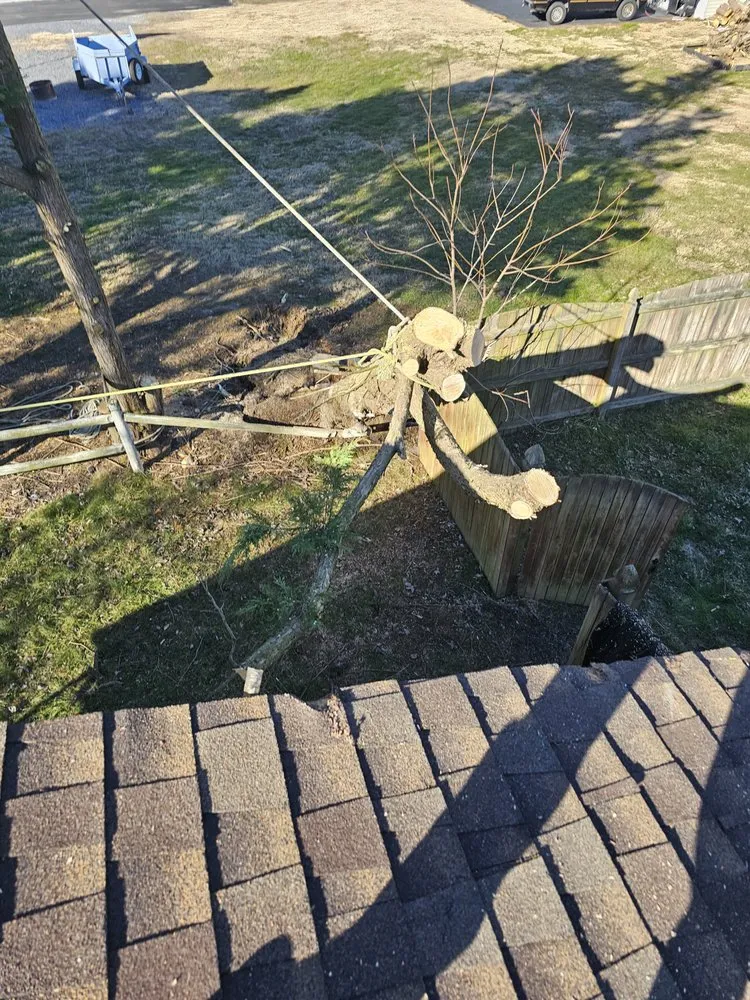 Local residential landscaping in Marydel, MD - Luis Jacobo Landscaping & Tree Removal