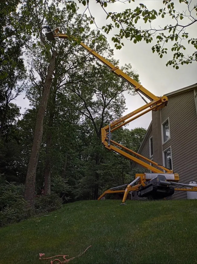 Professional lawn mowing service for beautiful yards in Marydel, MD by Luis Jacobo Landscaping & Tree Removal