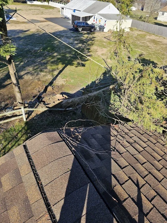 Custom landscaping services near you across Marydel, MD - Luis Jacobo Landscaping & Tree Removal
