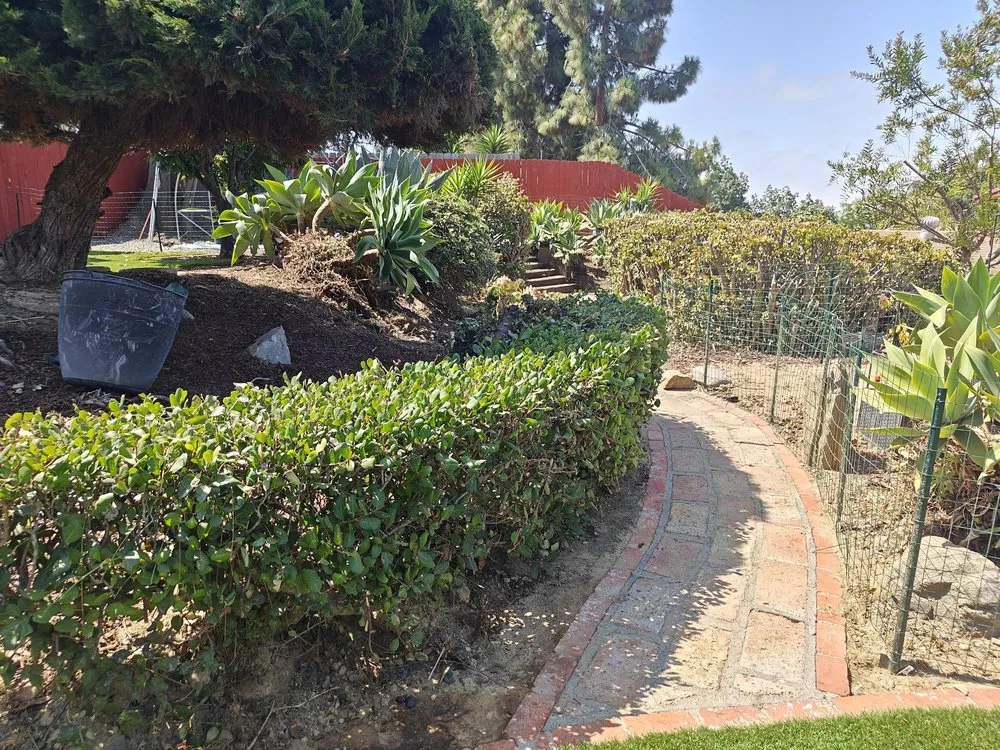 Affordable landscaping services experts serving San Diego, CA - Luis Junk Removal and Landscape