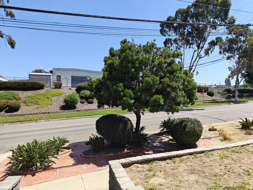 Professional yard maintenance for beautiful yards in San Diego, CA by Luis Junk Removal and Landscape