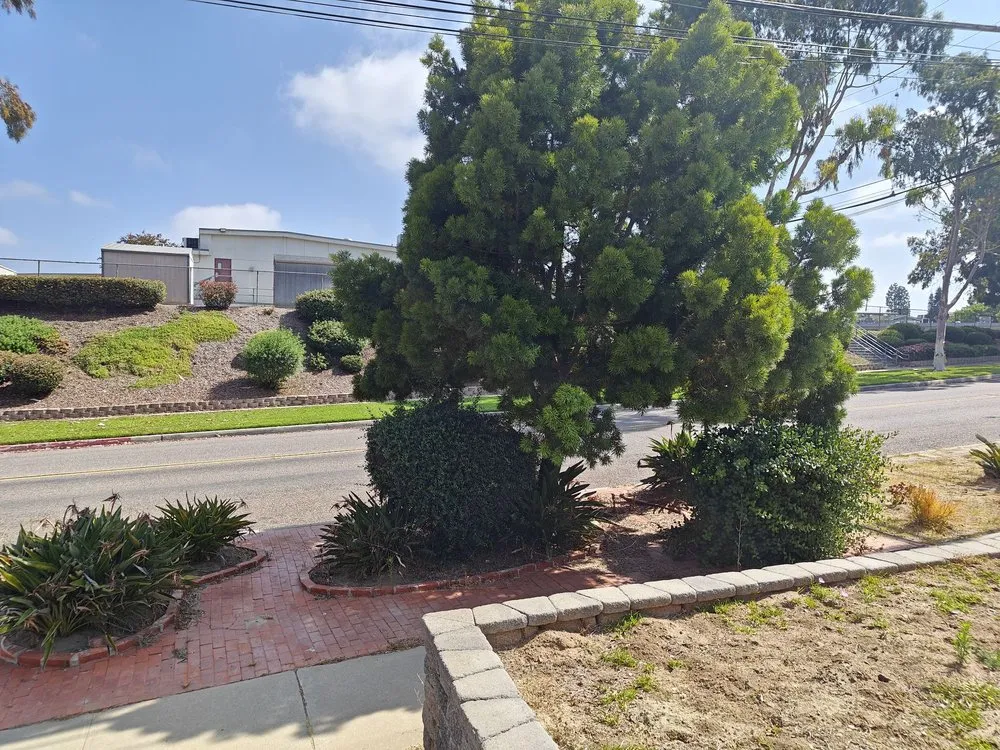 Expert outdoor landscaping experts serving San Diego, CA - Luis Junk Removal and Landscape