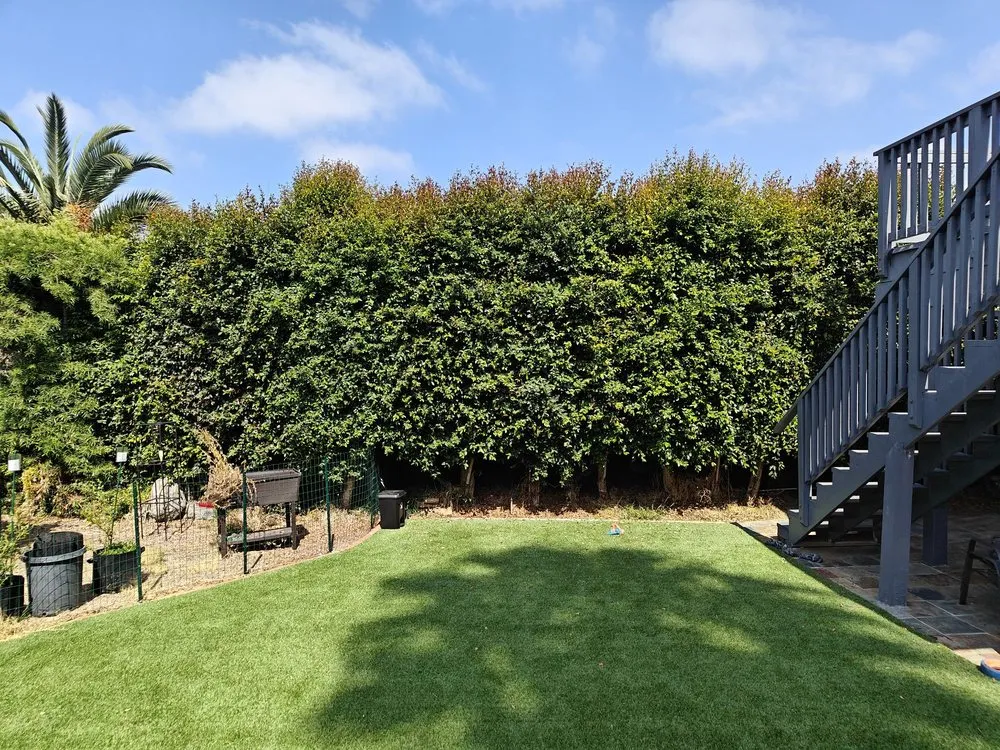 Affordable lawn mowing service for year-round maintenance in San Diego, CA by Luis Junk Removal and Landscape