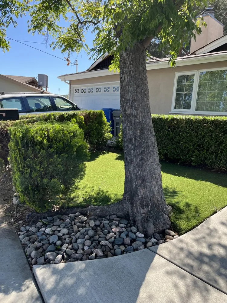 Trusted outdoor landscaping in San Diego, CA by Luis Junk Removal and Landscape