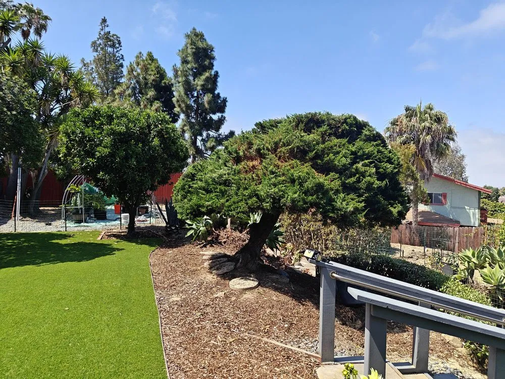 Professional landscape installation for outdoor upgrades in San Diego, CA by Luis Junk Removal and Landscape