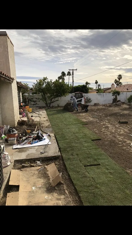Reliable yard maintenance for beautiful yards in La Quinta, CA by Luis Land Scape And Tree Care