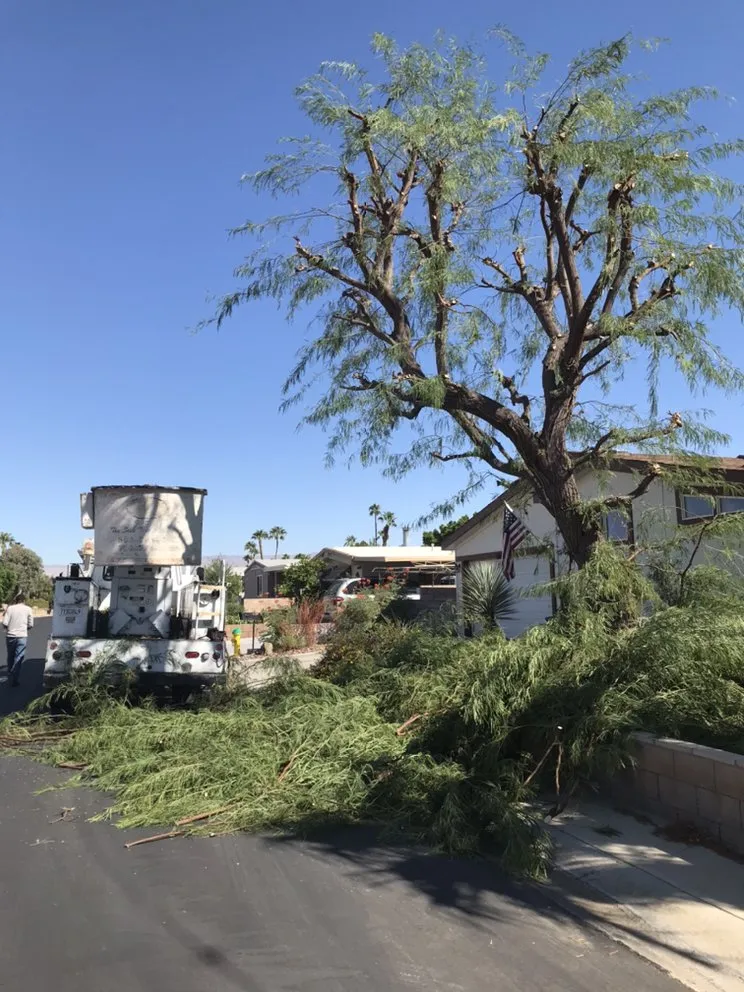 Custom residential landscaping near you in La Quinta, CA by Luis Land Scape And Tree Care