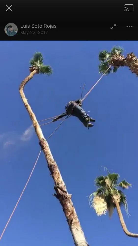 Top-rated landscaping services in La Quinta, CA by Luis Land Scape And Tree Care