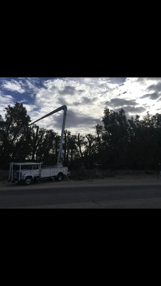 Affordable lawn mowing service experts serving La Quinta, CA - Luis Land Scape And Tree Care