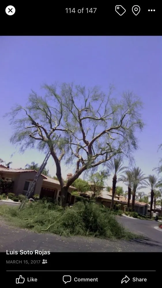Affordable landscape design near you across La Quinta, CA - Luis Land Scape And Tree Care