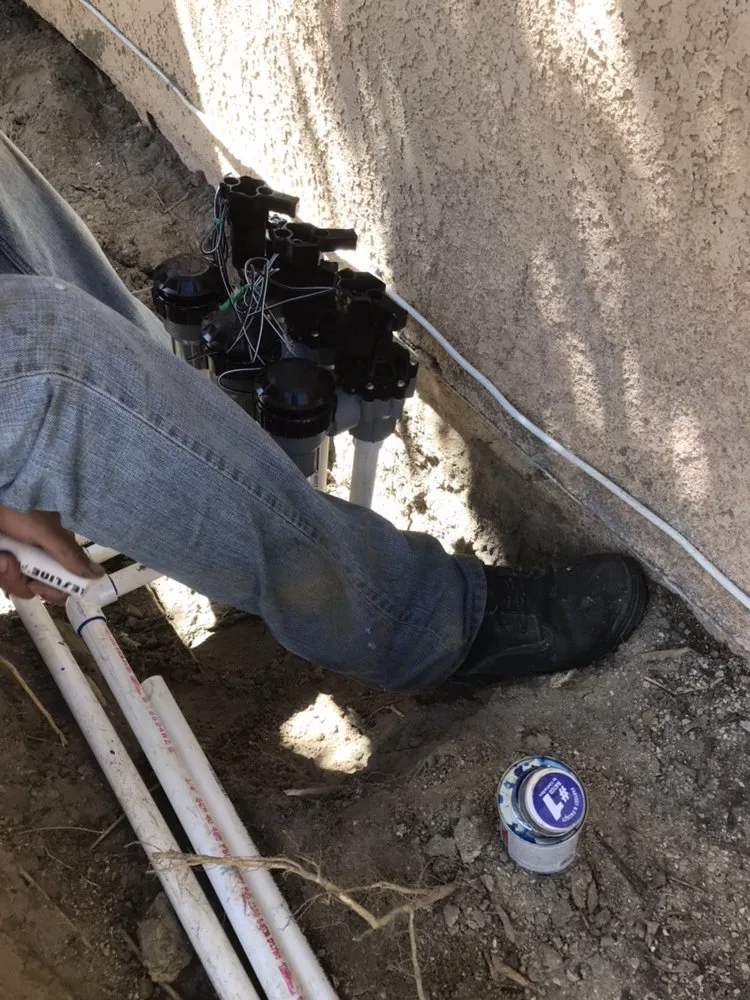 Expert outdoor landscaping experts serving La Quinta, CA - Luis Land Scape And Tree Care