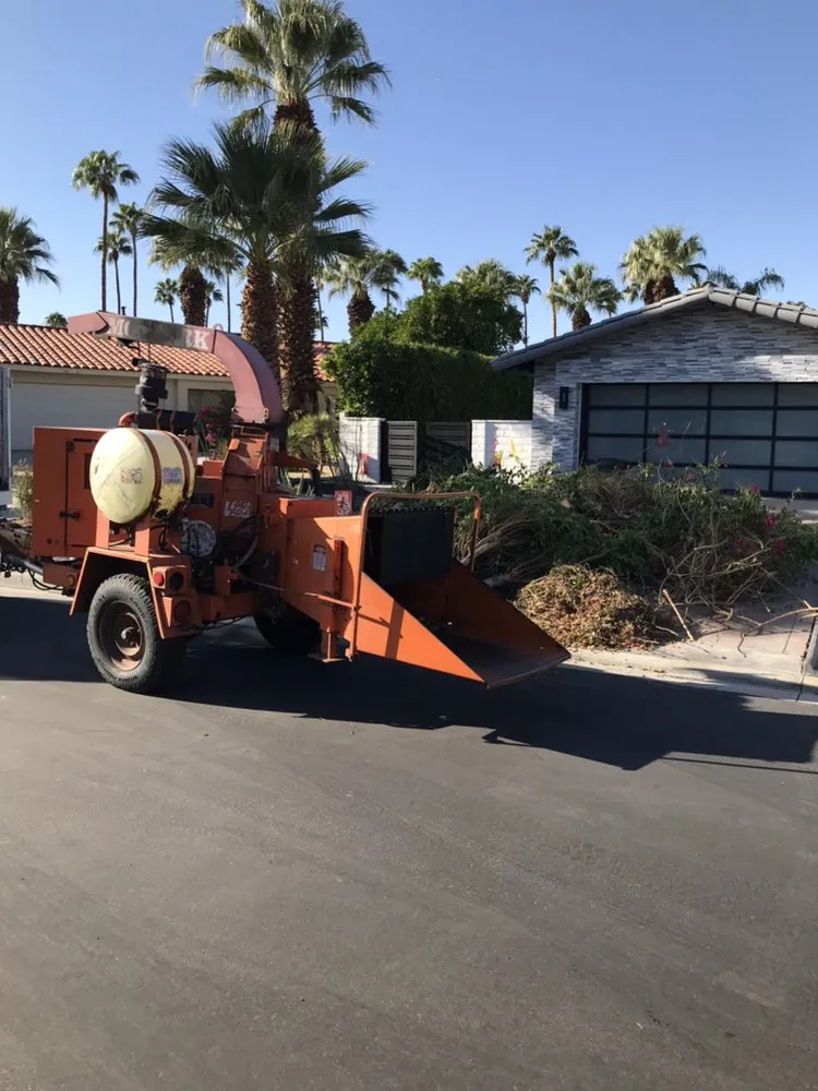 Trusted yard cleanup service in La Quinta, CA by Luis Land Scape And Tree Care