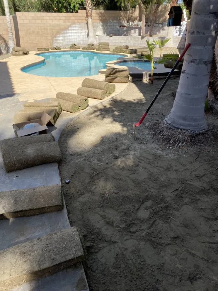 Expert landscape installation in La Quinta, CA by Luis Land Scape And Tree Care