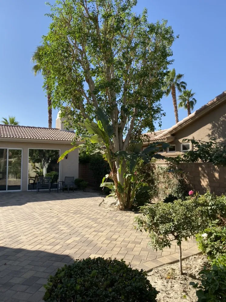 Trusted landscape installation experts serving La Quinta, CA - Luis Land Scape And Tree Care