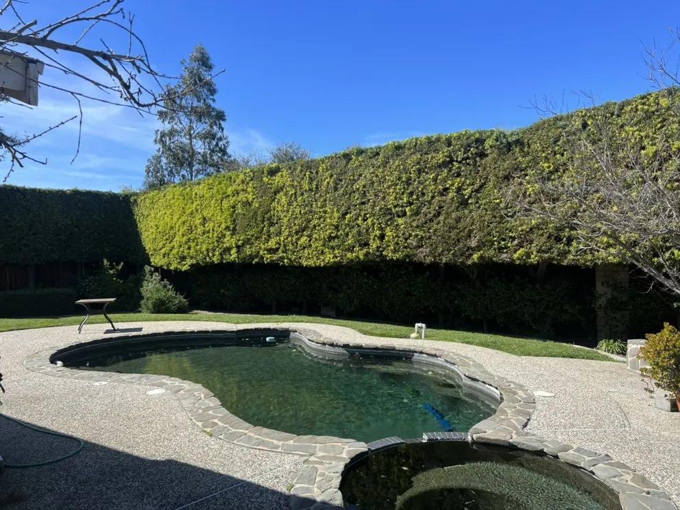 Professional landscape design experts serving Newark, CA - Luis Landscape & Concrete