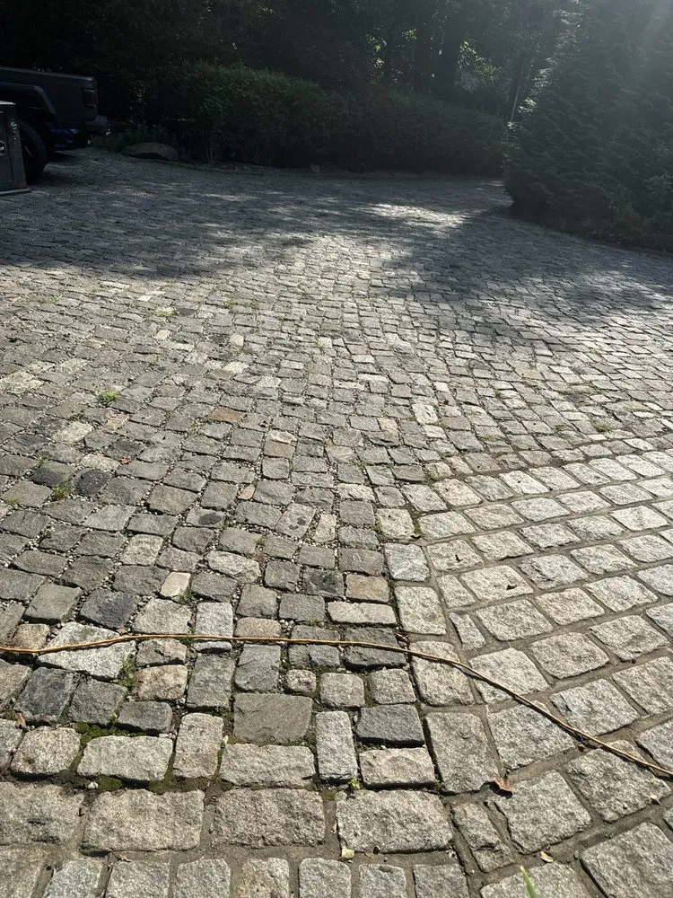 Reliable yard cleanup service for outdoor upgrades in Norwalk, CT by Luis Landscape