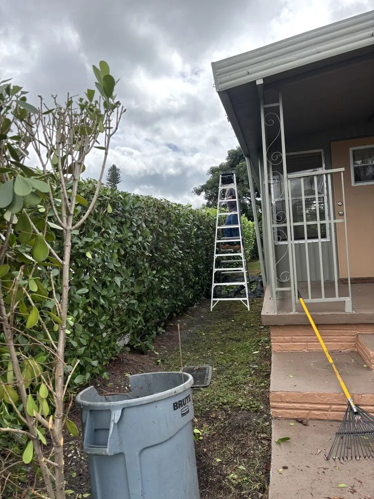 Reliable landscape installation in Opa-locka, FL by Luis Landscape Service