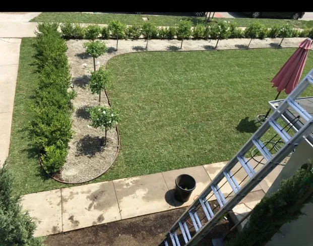 Affordable garden landscaping in Alhambra, CA by Luis Landscaping