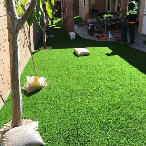 Affordable landscaping services in Alhambra, CA - Luis Landscaping