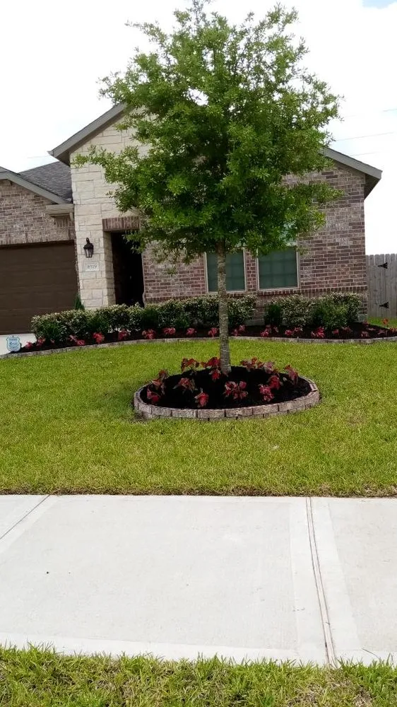 Custom outdoor landscaping in Pinehurst, TX - Luis Landscaping and Irrigation