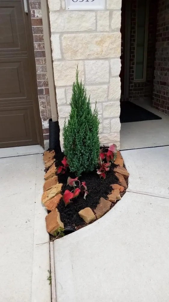 Expert lawn care service in Pinehurst, TX by Luis Landscaping and Irrigation