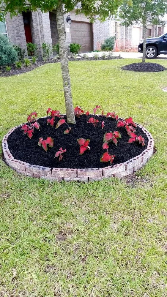 Reliable lawn care service experts serving Pinehurst, TX - Luis Landscaping and Irrigation