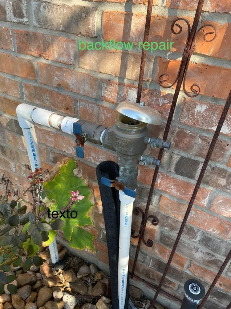 Professional outdoor landscaping experts serving Pinehurst, TX - Luis Landscaping and Irrigation