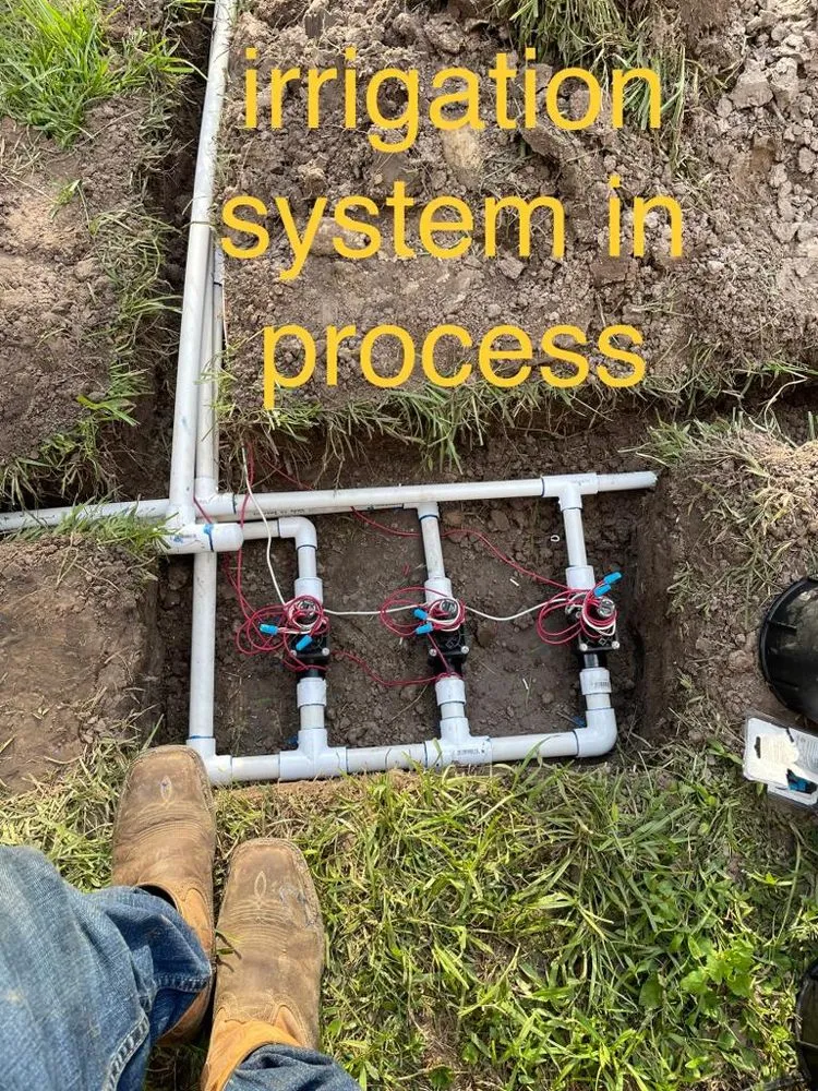 Local lawn care service in Pinehurst, TX by Luis Landscaping and Irrigation