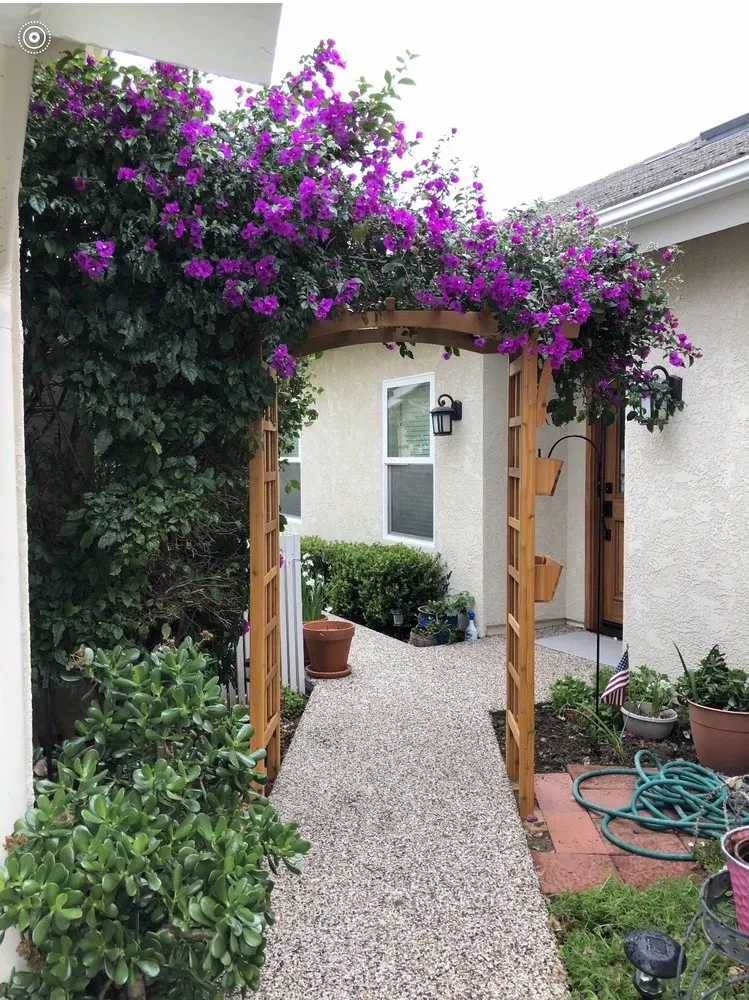 Trusted lawn mowing service experts serving Escondido, CA - Luis Landscaping And Maintenance