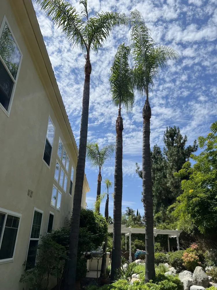 Local garden landscaping experts serving Escondido, CA - Luis Landscaping And Maintenance