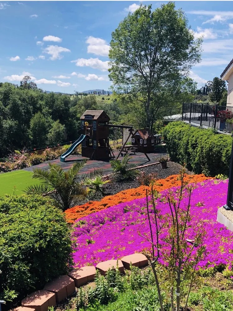 Affordable landscaping services in Escondido, CA by Luis Landscaping And Maintenance