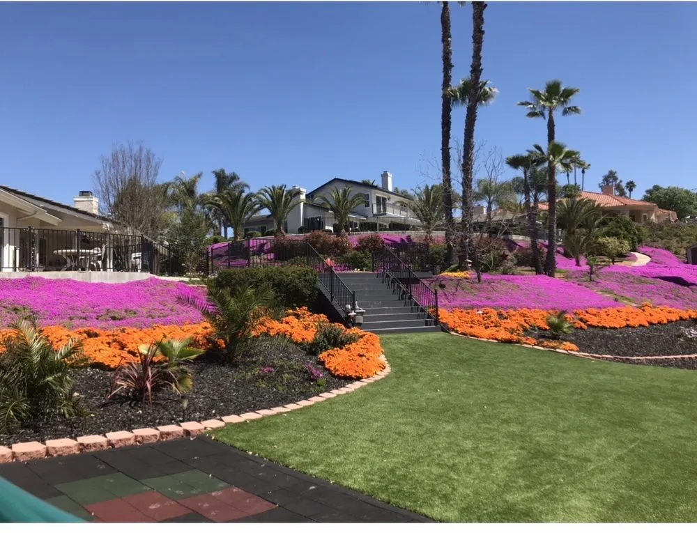 Top-rated landscape installation in Escondido, CA by Luis Landscaping And Maintenance
