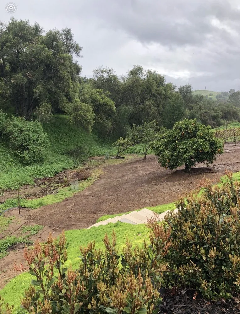 Custom garden landscaping in Escondido, CA - Luis Landscaping And Maintenance