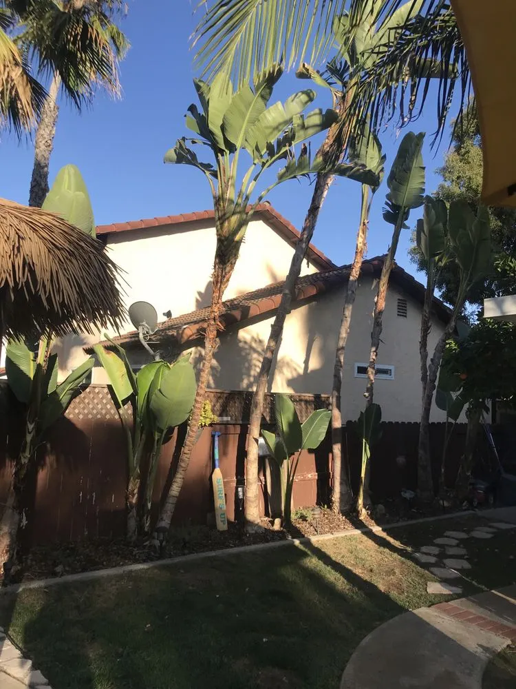 Expert lawn care service with custom design across Escondido, CA - Luis Landscaping And Maintenance