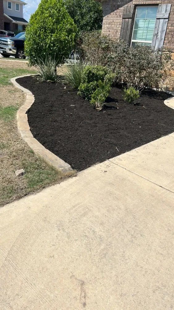 Expert lawn mowing service in Austin, TX - Luis Landscaping