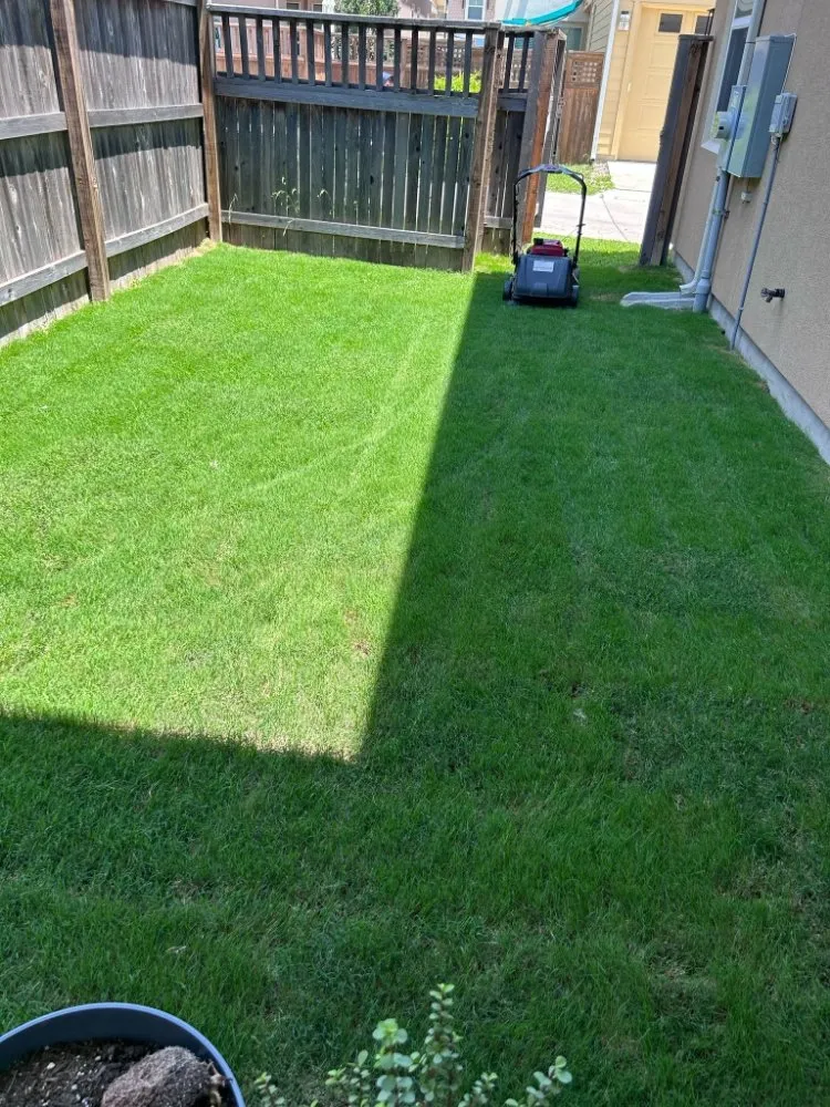 Trusted landscaping services experts serving Austin, TX - Luis Landscaping