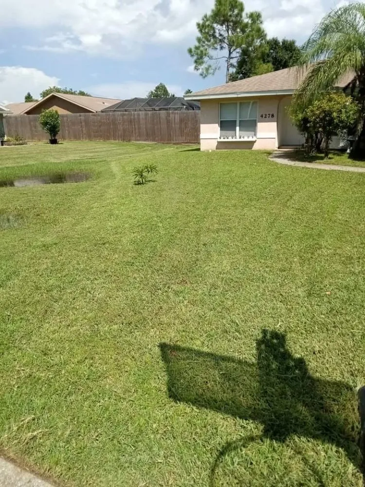 Affordable outdoor landscaping for homes in Bradenton, FL by Luis Landscaping
