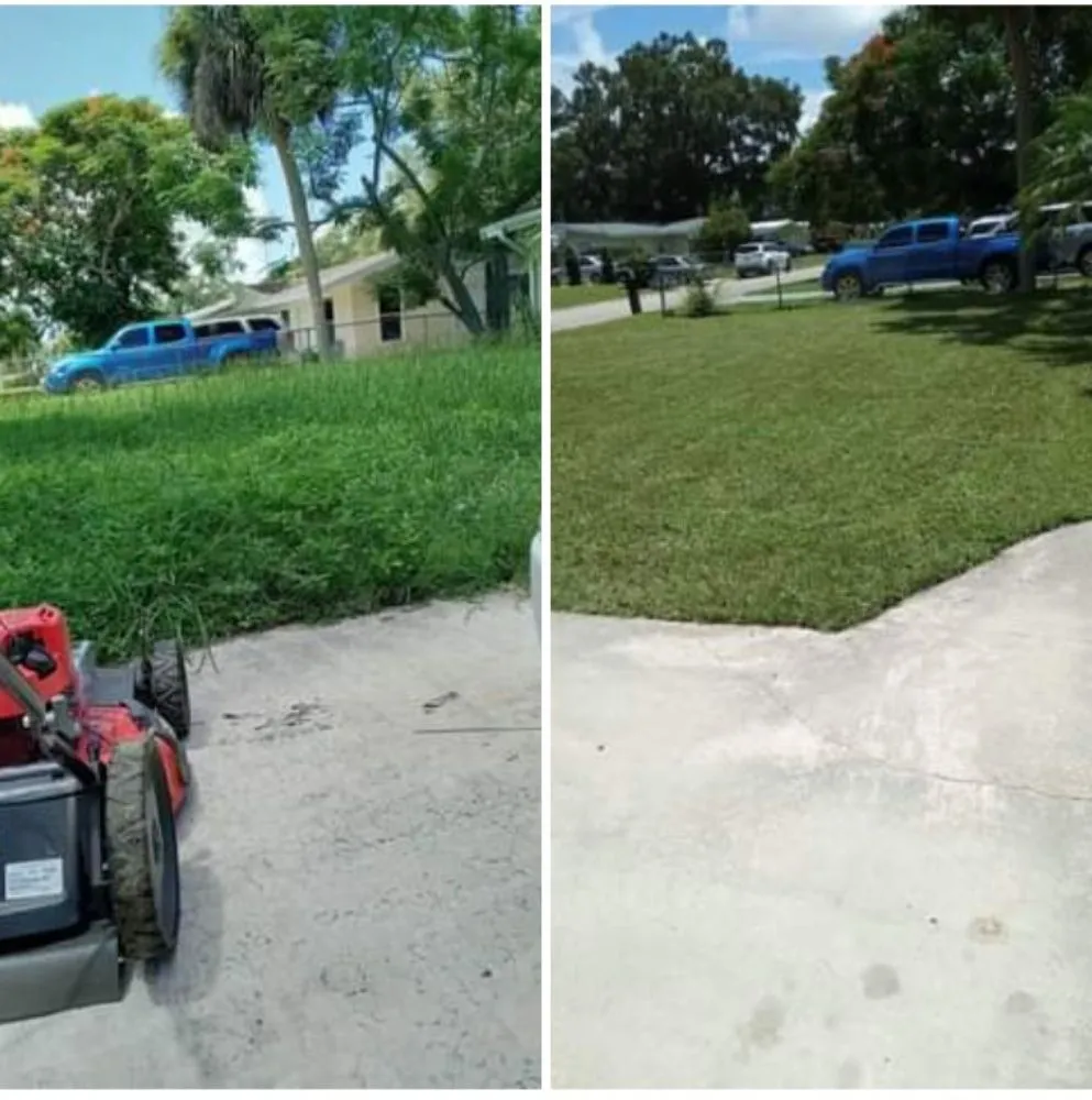 Local landscaping services for homes across Bradenton, FL - Luis Landscaping
