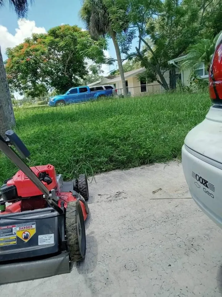 Professional yard cleanup service experts serving Bradenton, FL - Luis Landscaping
