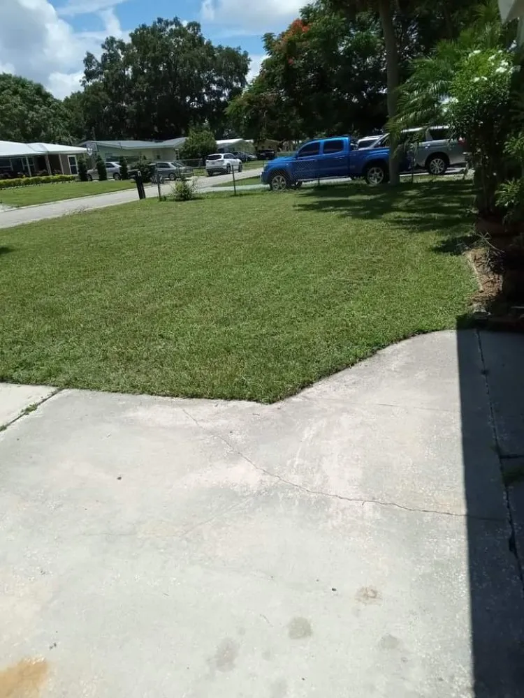 Custom yard maintenance for residential properties across Bradenton, FL - Luis Landscaping