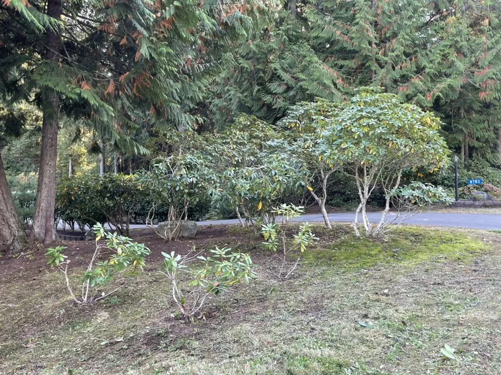 Top-rated landscape design for homes in Bremerton, WA by Luis Landscaping