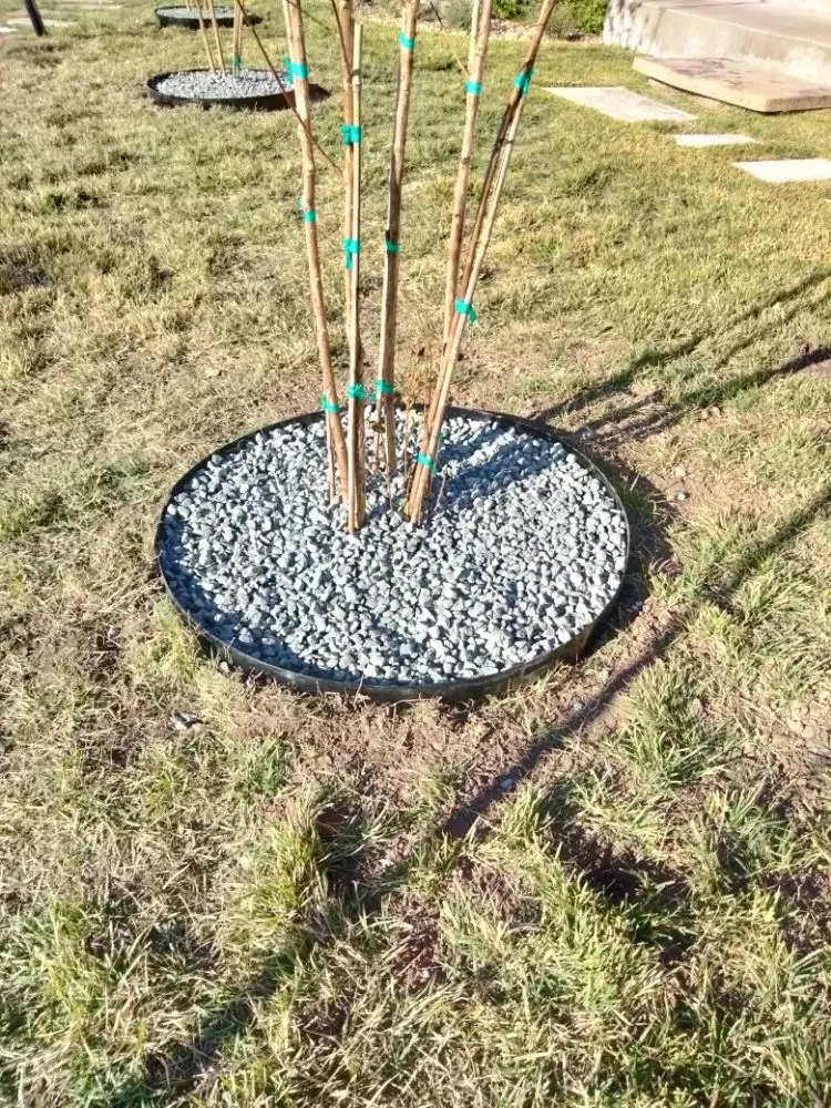 Custom lawn care service in Brushy Creek, TX by Luis Landscaping