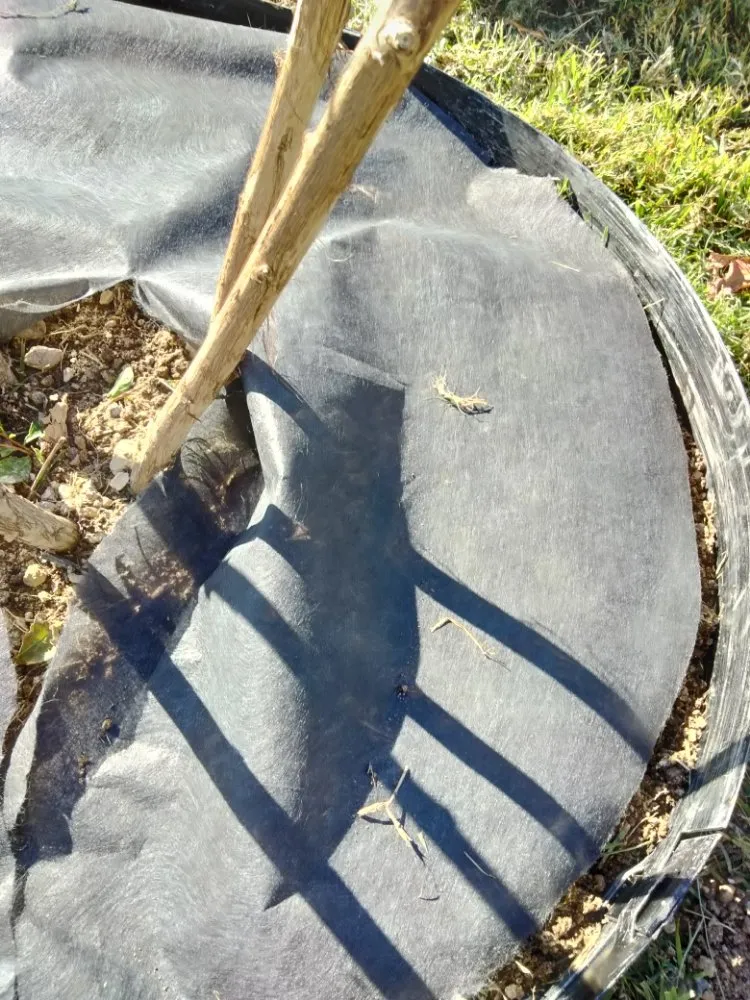 Professional lawn mowing service in Brushy Creek, TX - Luis Landscaping