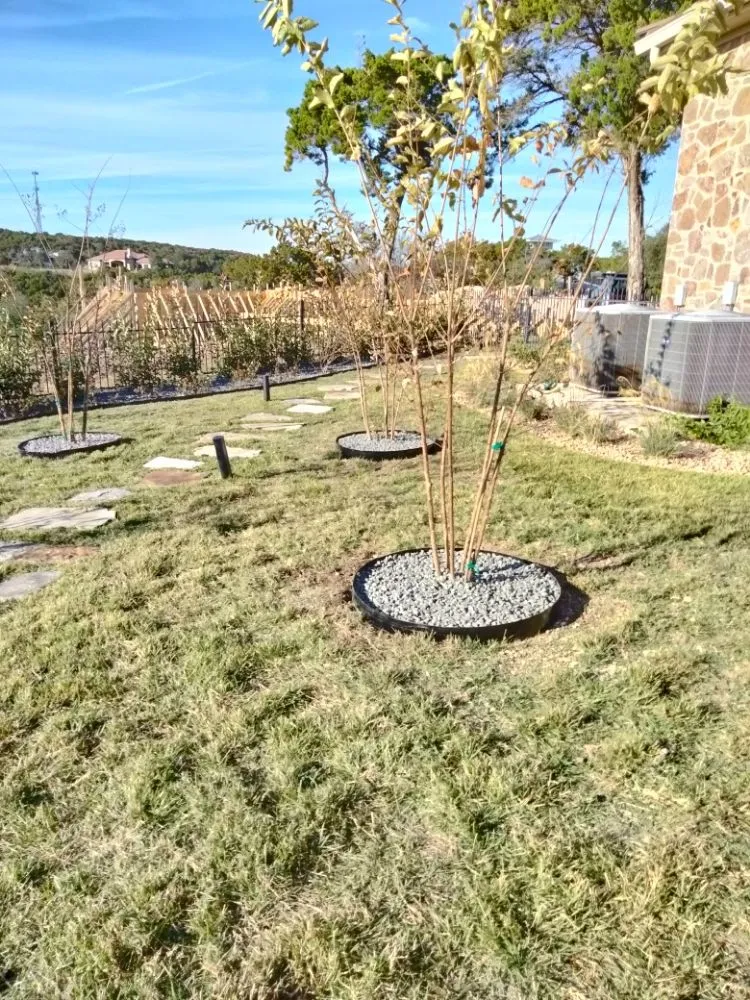 Affordable landscaping services near you across Brushy Creek, TX - Luis Landscaping